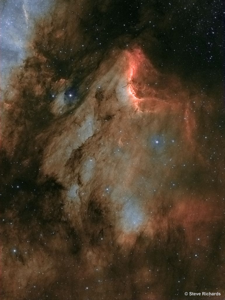 IC 5070: A Dusty Pelican in the Swan