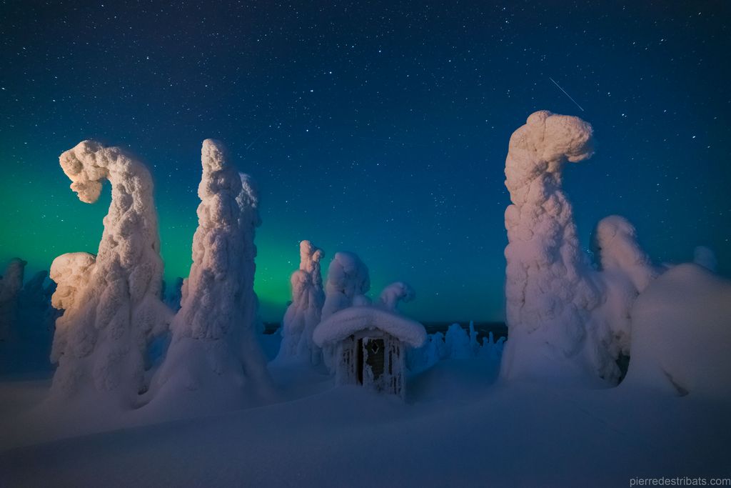 Sentinels of a Northern Sky