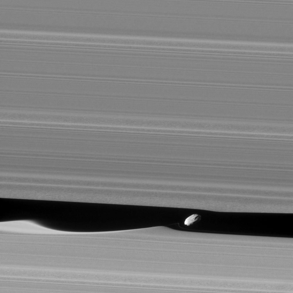 Daphnis, lune de Saturne, par Cassini