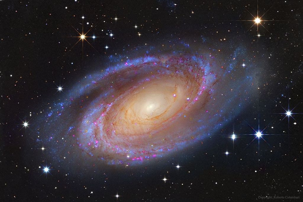 Bright Spiral Galaxy M81