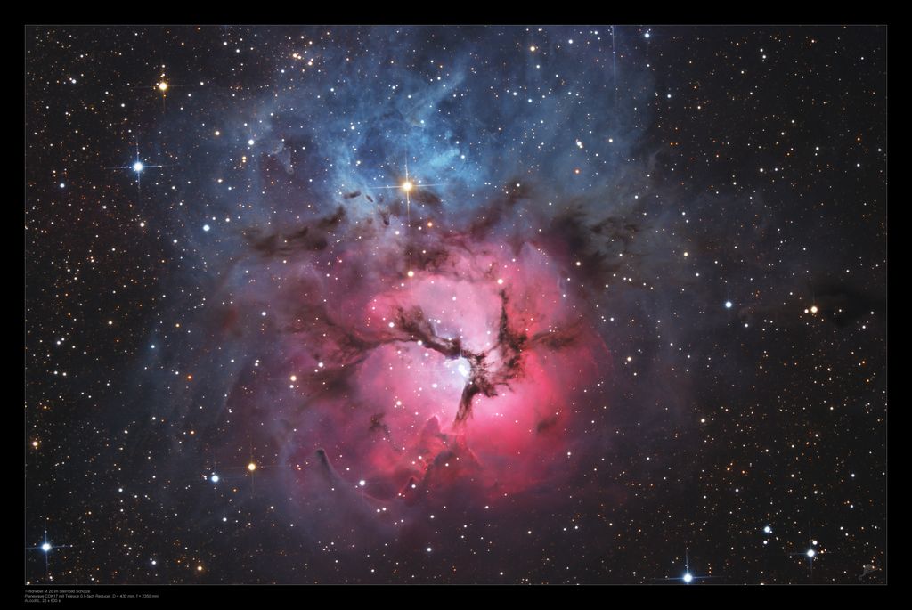 A Beautiful Trifid