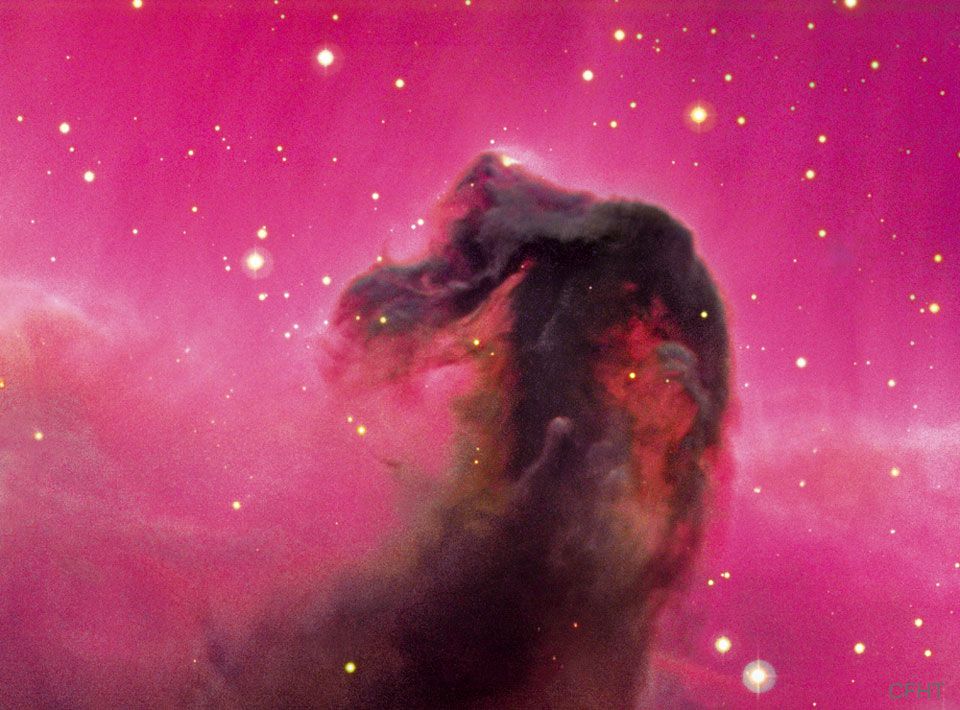 La Nebuleuse de la Tete de Cheval