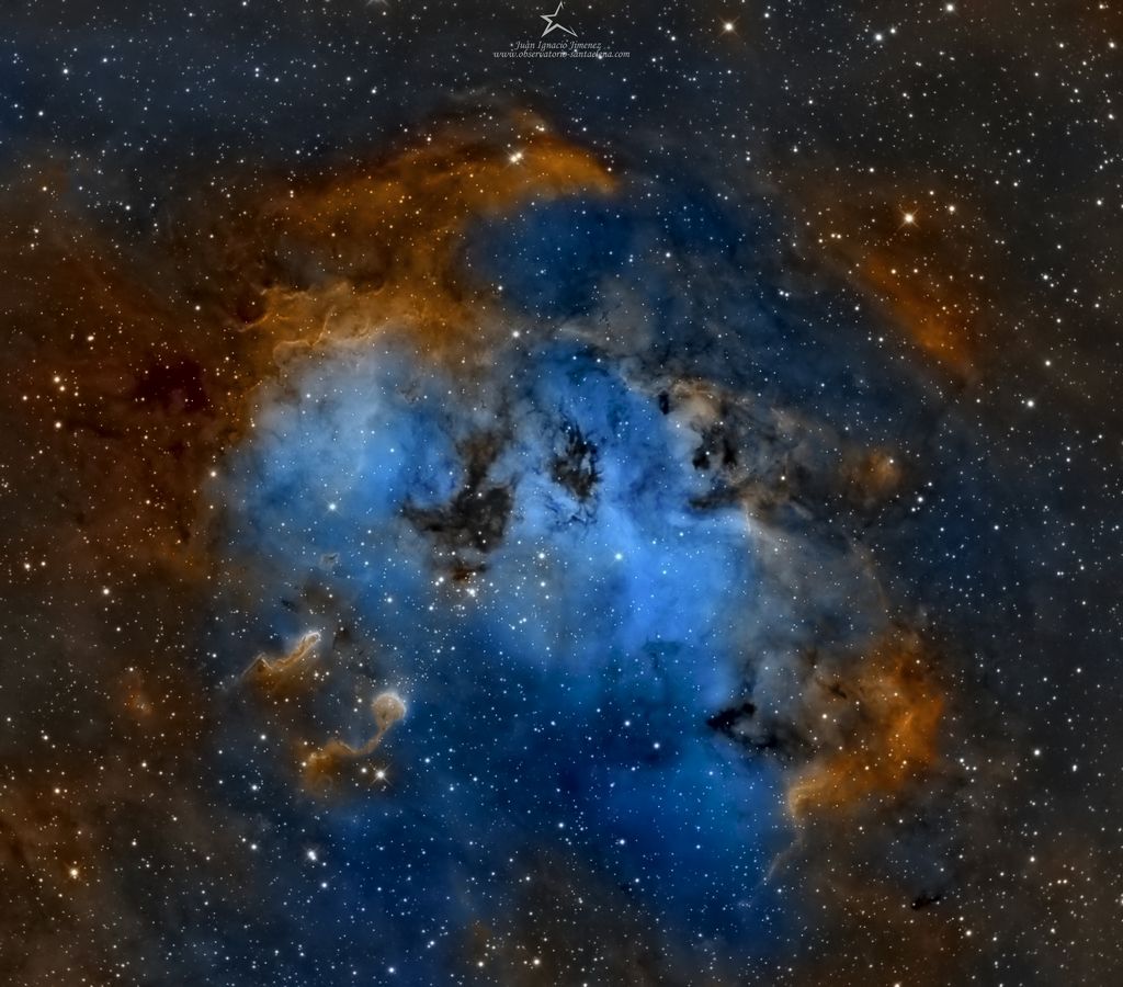 The Tadpoles of IC 410