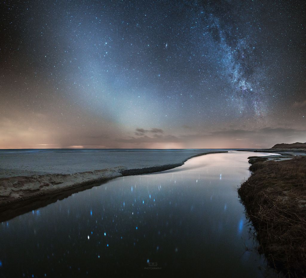 Dueling Bands in the Night
