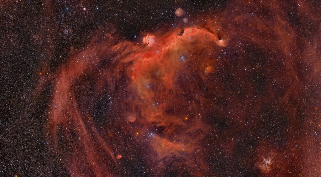 The Seagull and the Duck