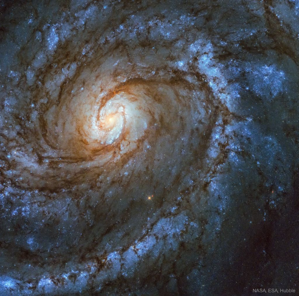 M100