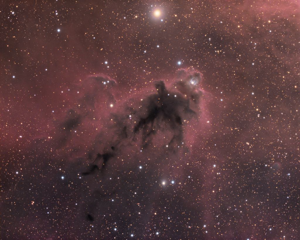 LDN 1622 : Nebuleuse sombre dans Orion