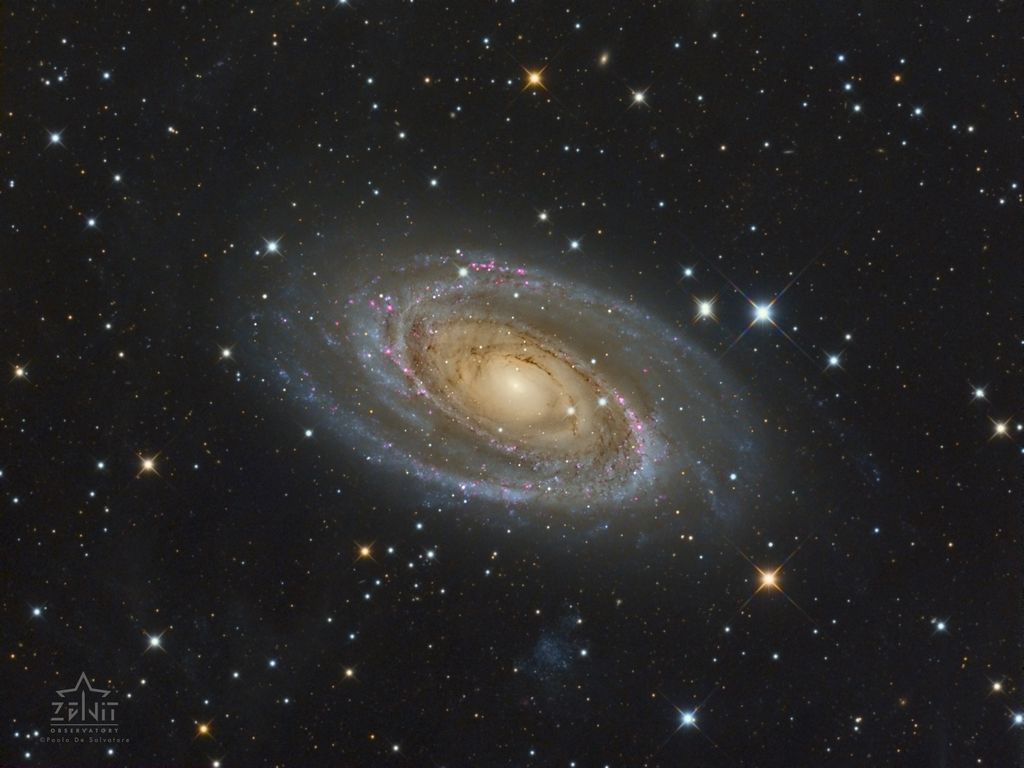 Messier 81