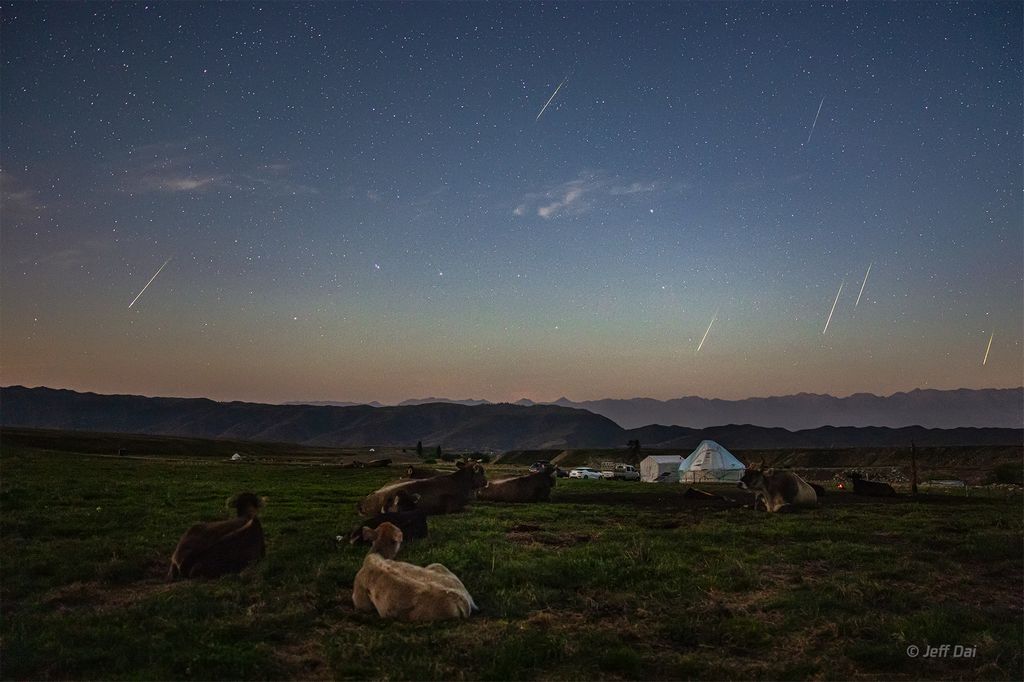 The Perseids and the Plough