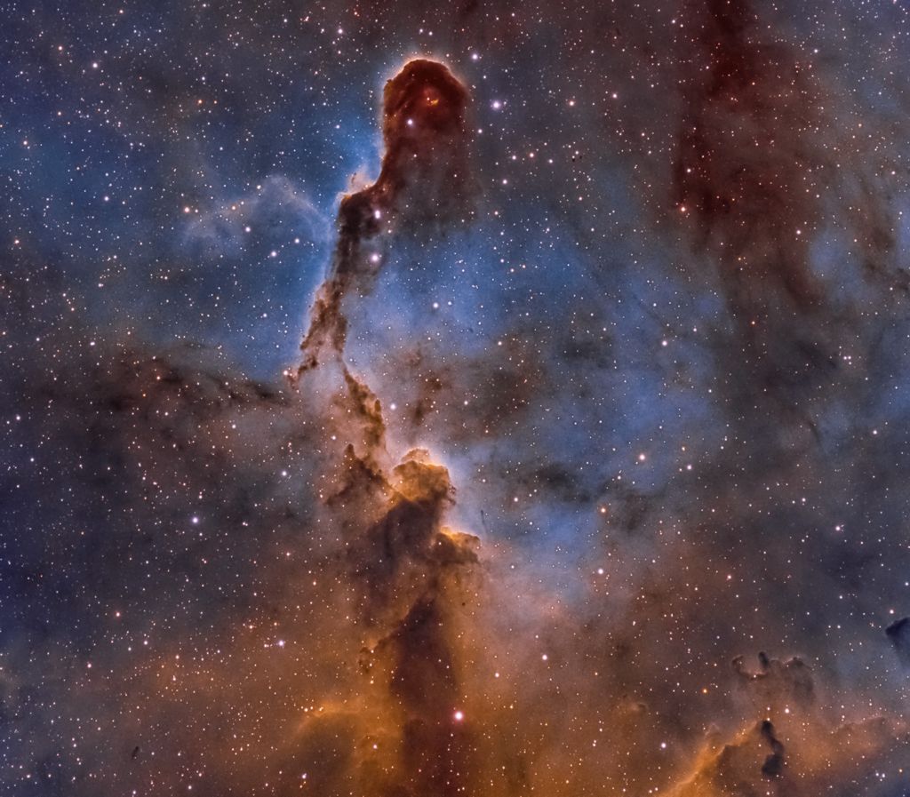 La Nebuleuse de la Trompe d'Elephant dans Persee