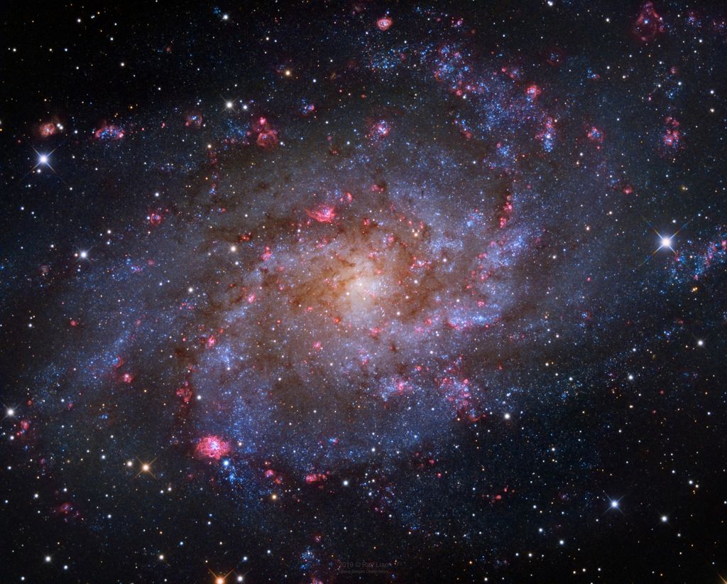 M33: The Triangulum Galaxy