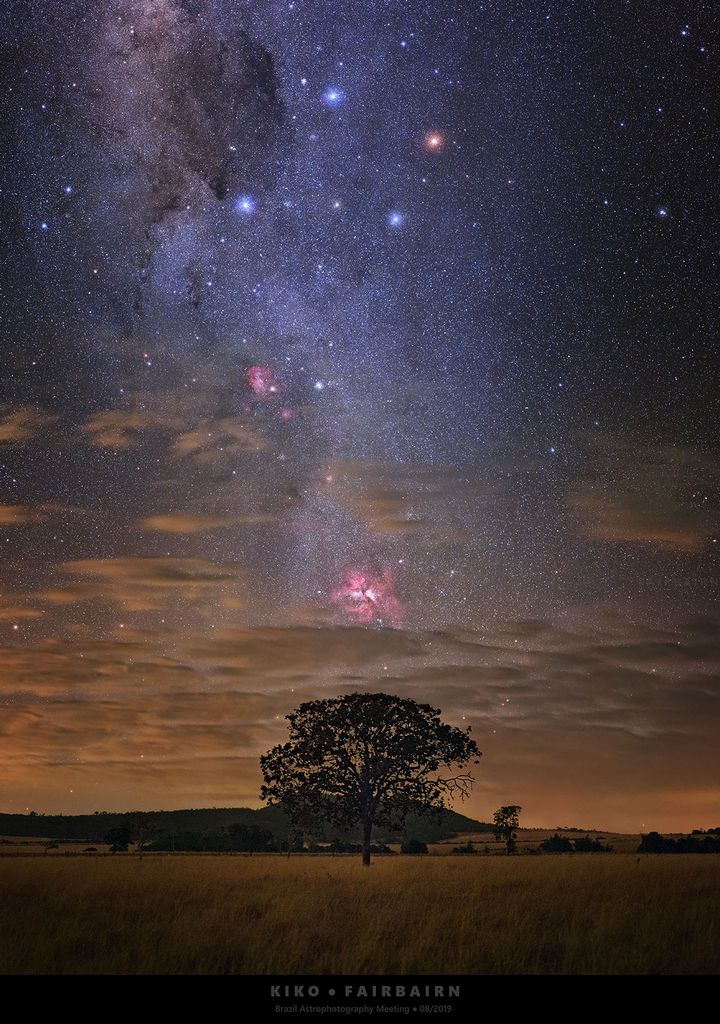 Carina in Perspective