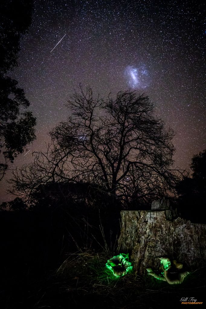 Ghost Fungus to Magellanic Cloud