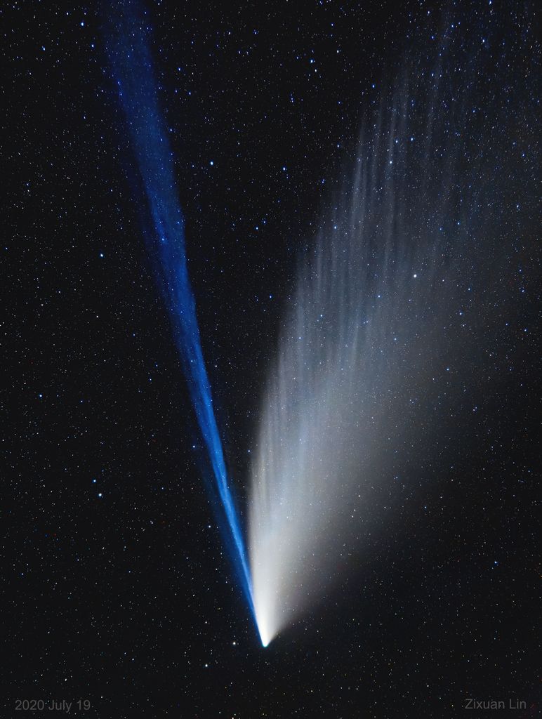 Les queues de la Comete NEOWISE