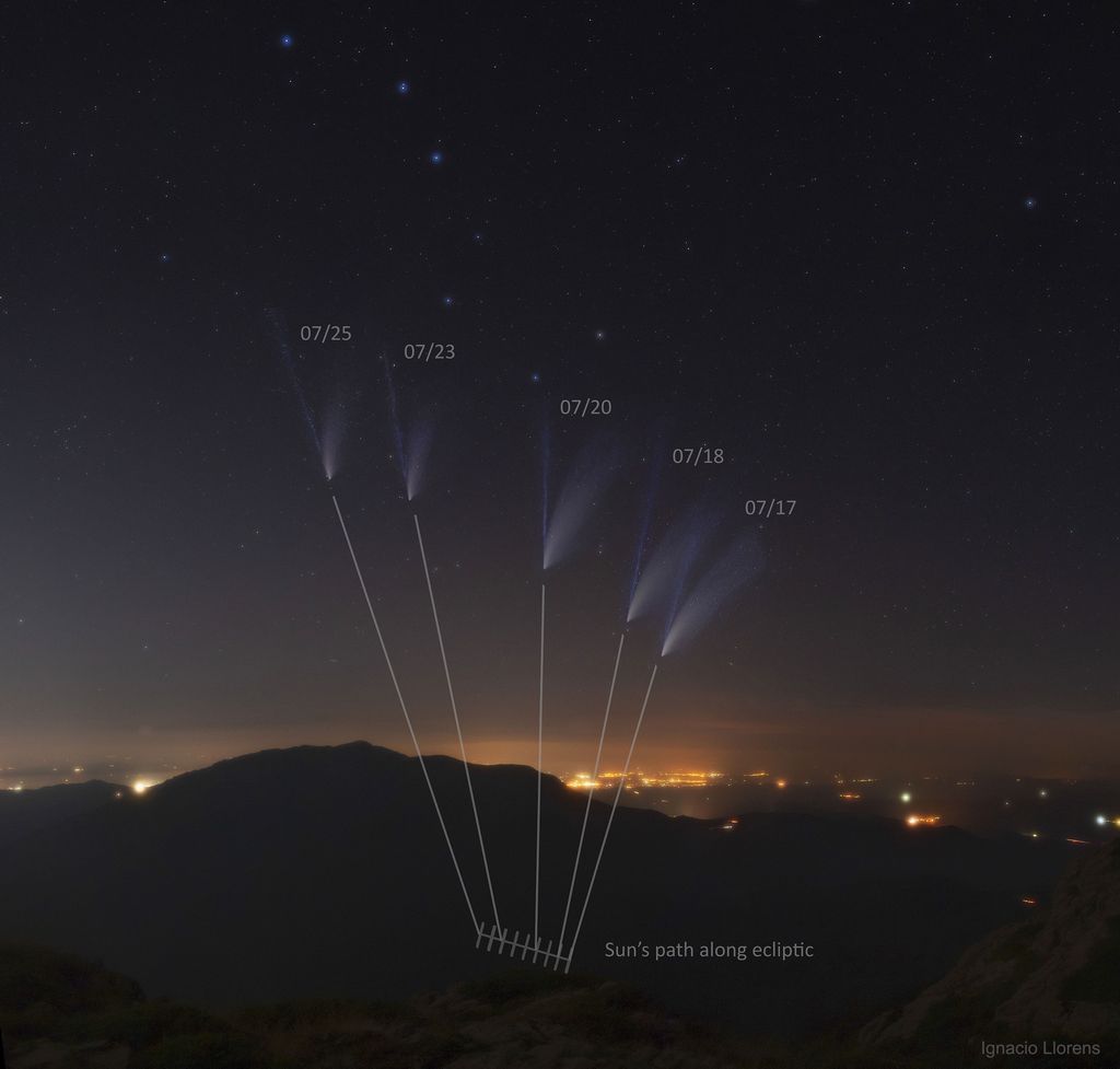 The Shifting Tails of Comet NEOWISE