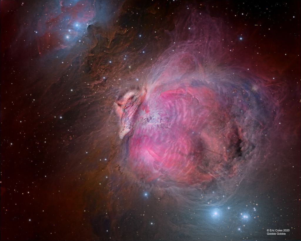 The Great Turkey Nebula