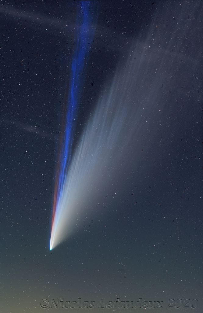 Three Tails of Comet NEOWISE