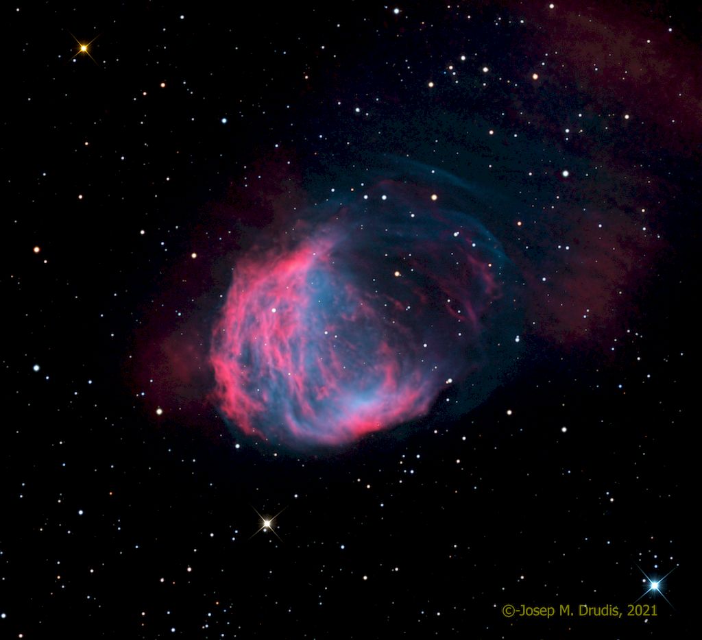 The Medusa Nebula