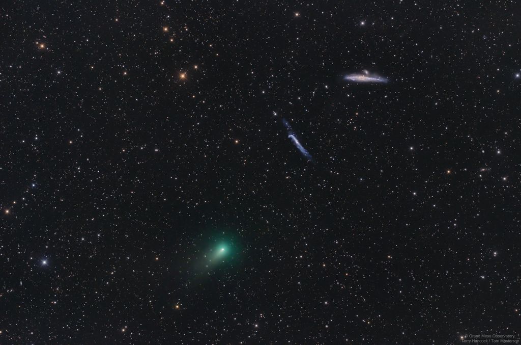 The Comet, the Whale, and the Hockey Stick