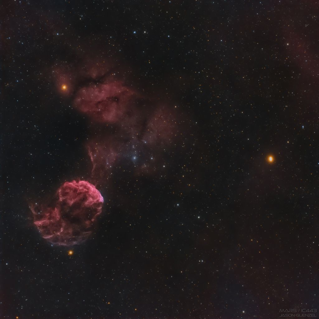 The Jellyfish and Mars