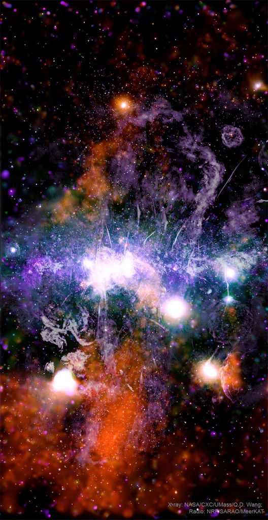 The Galactic Center in Stars, Gas, and Magnetism