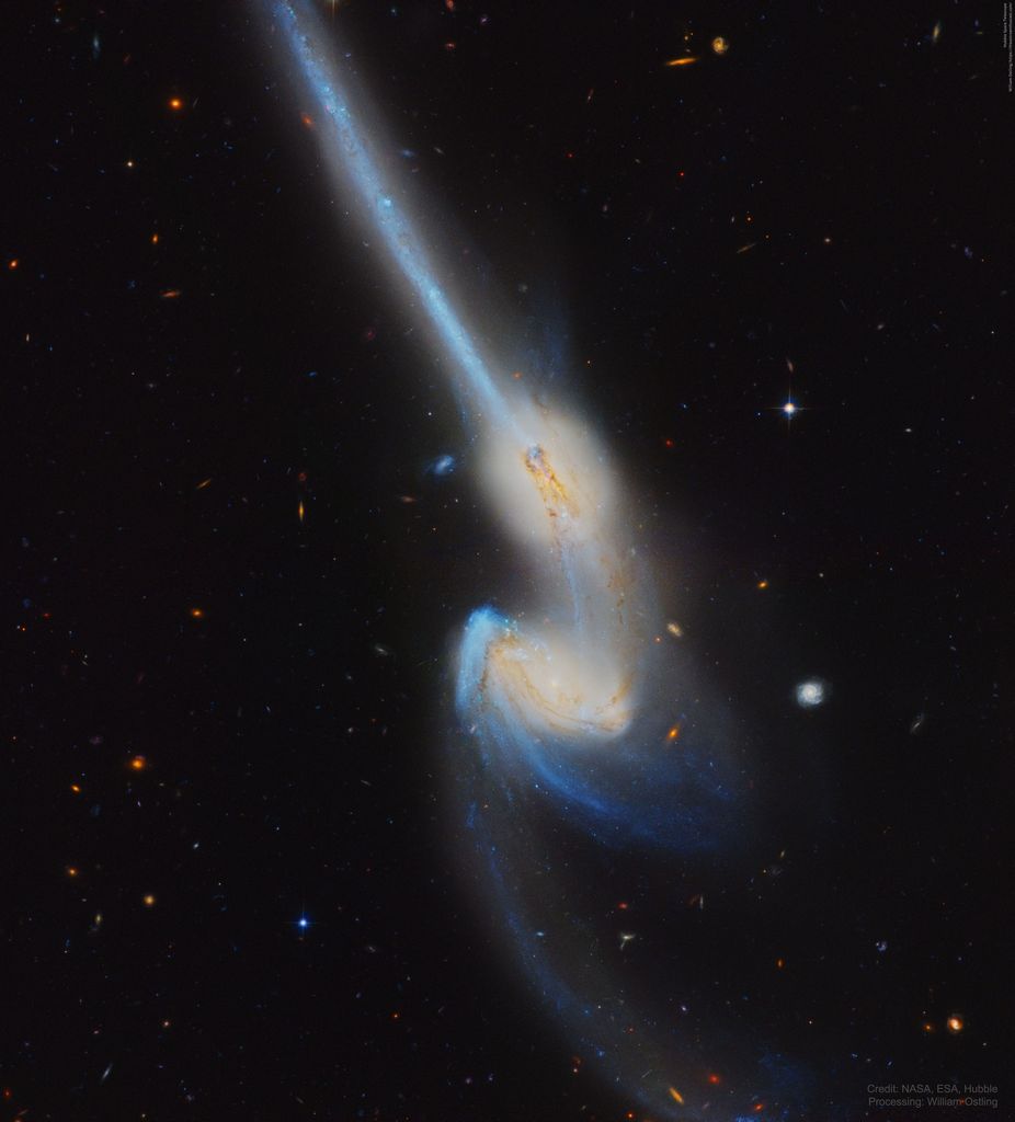 NGC 4676 : Quand les souris entrent en collision