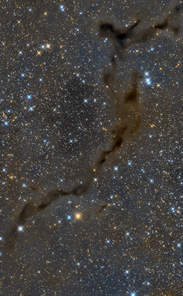 The Dark Seahorse in Cepheus