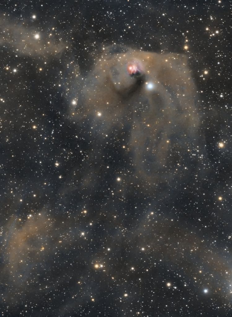 T Tauri and Hind's Variable Nebula