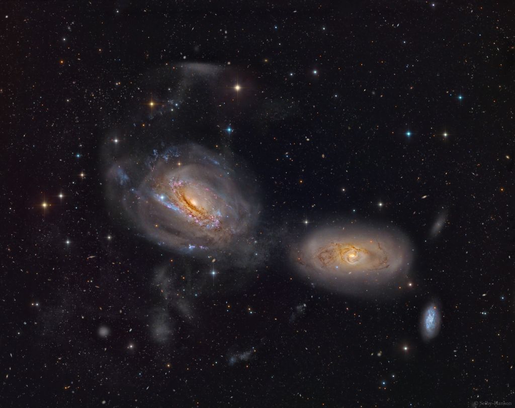 Unraveling NGC 3169