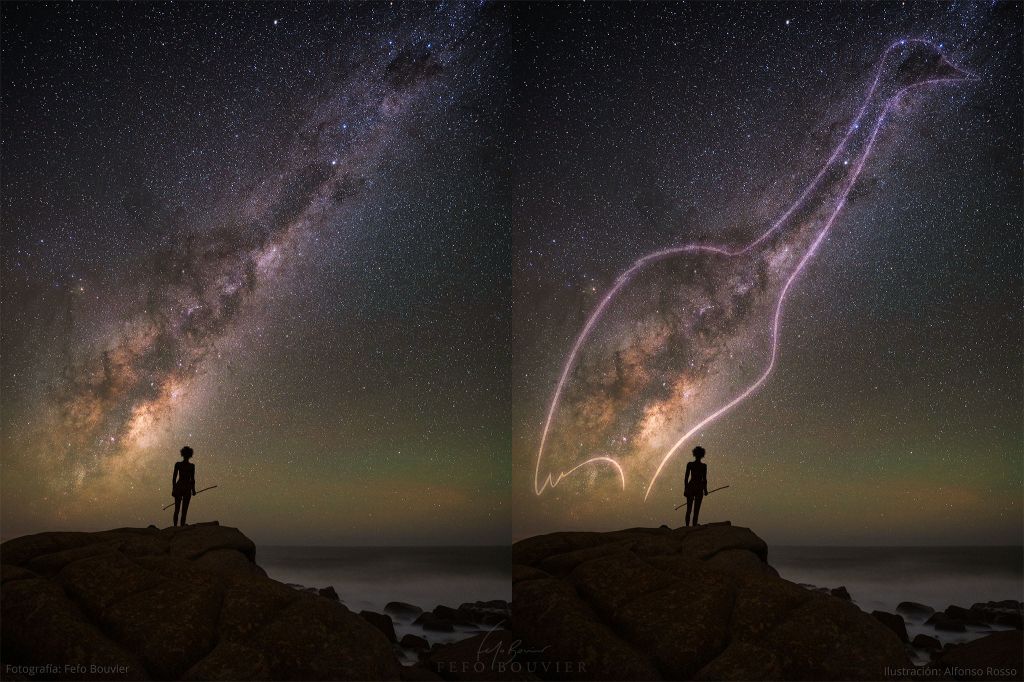 The Ñandú in the Milky Way