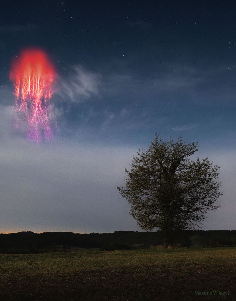 Le sprite rouge et l'arbre