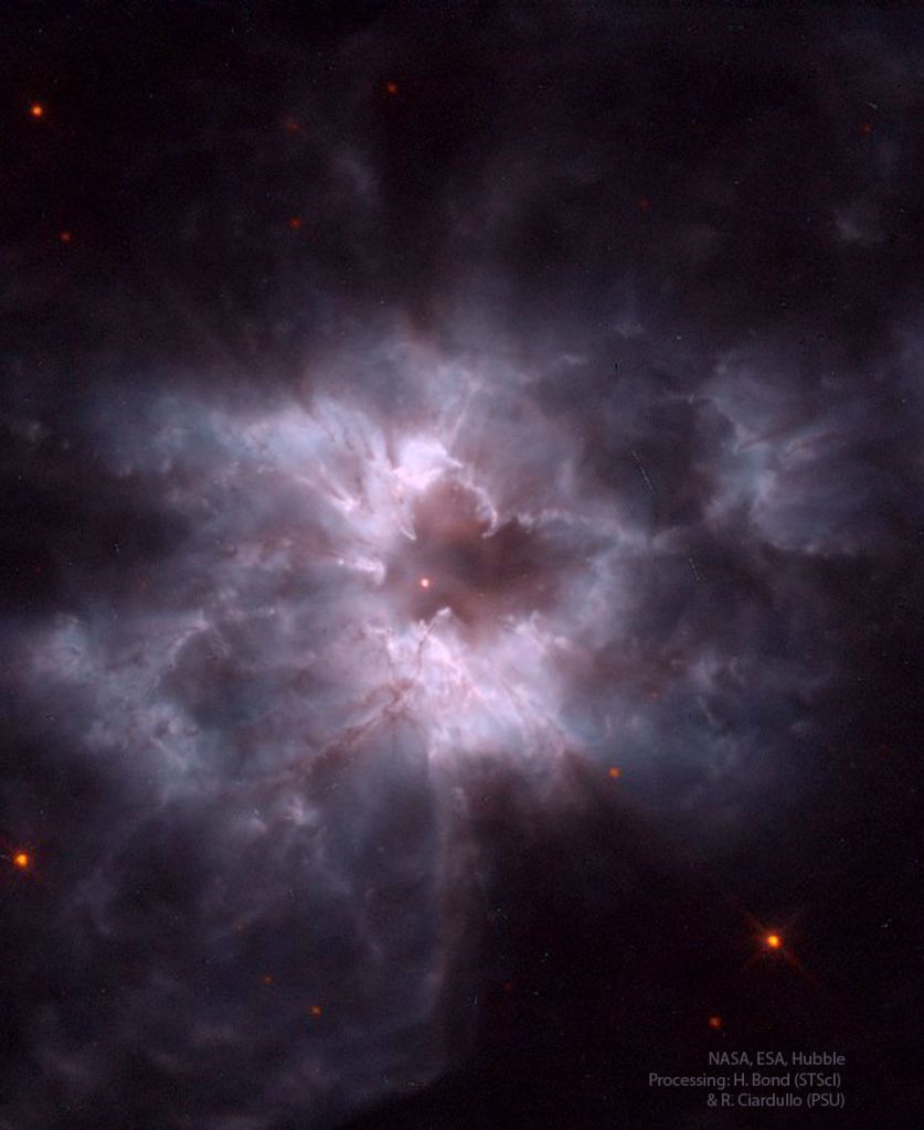 NGC 2440: Cocon d'une nouvelle naine blanche