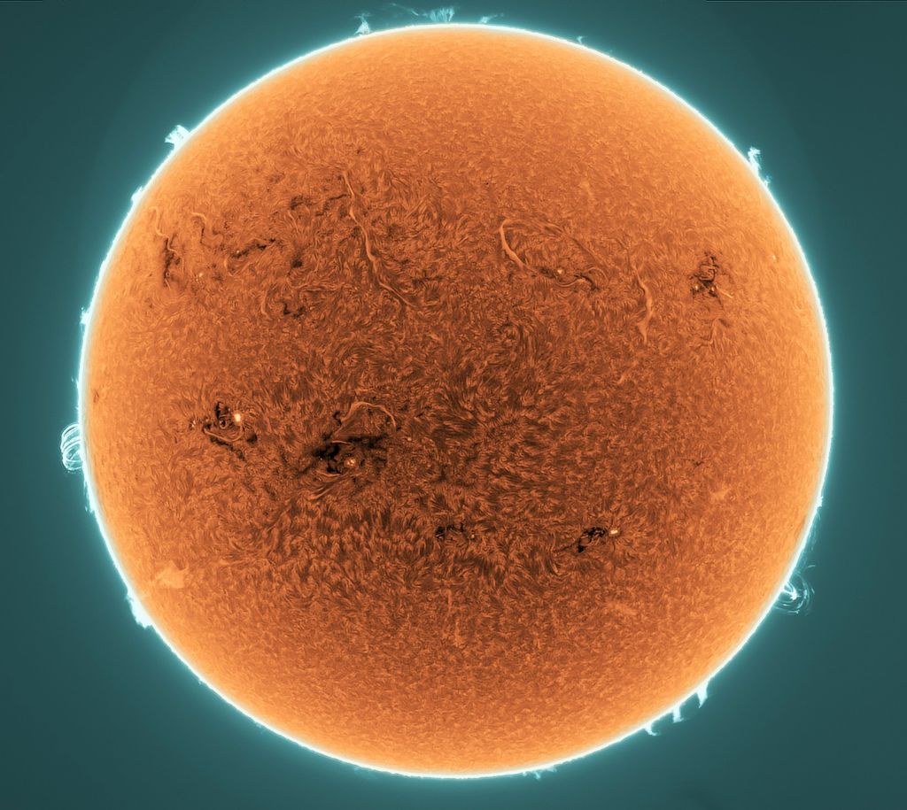 Proéminences et filaments sur le Soleil actif