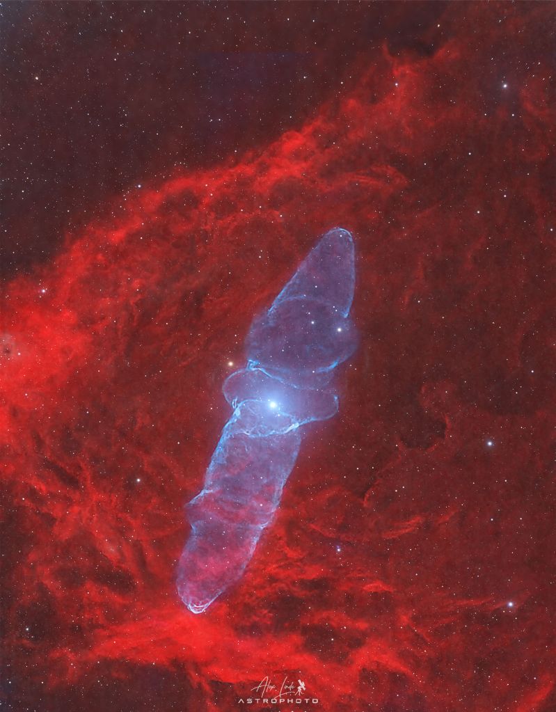 Ou4: The Giant Squid Nebula