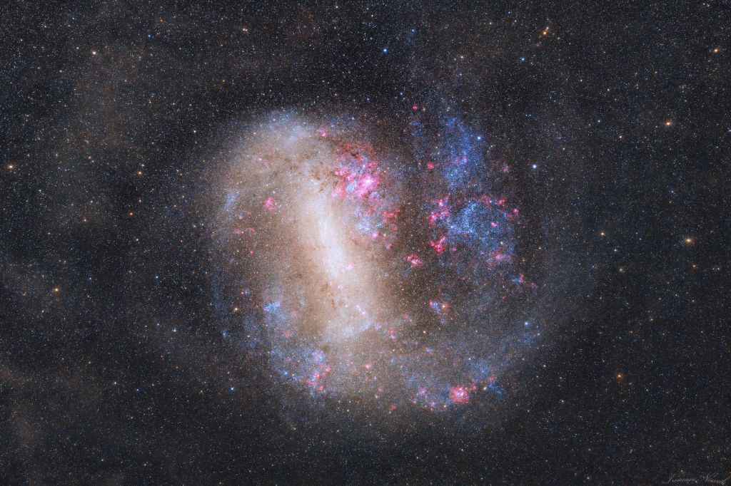 The Large Magellanic Cloud Galaxy