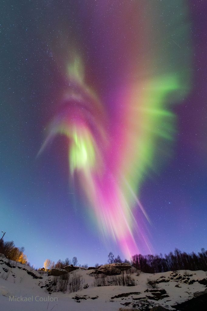 Auroral Hummingbird over Norway