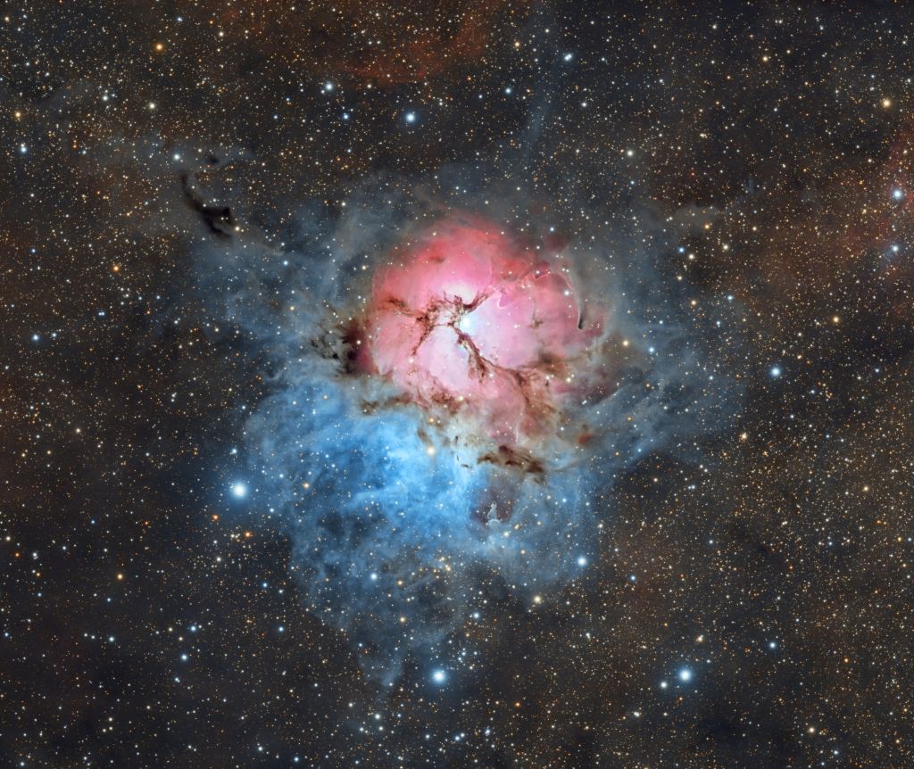 A Beautiful Trifid