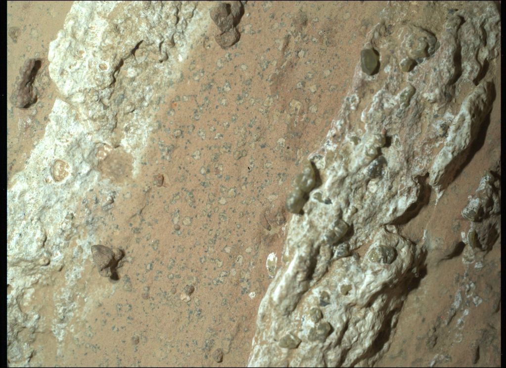 Leopard Spots on Martian Rocks