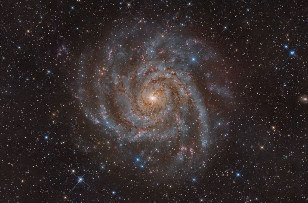 IC 342: Hidden Galaxy in Camelopardalis