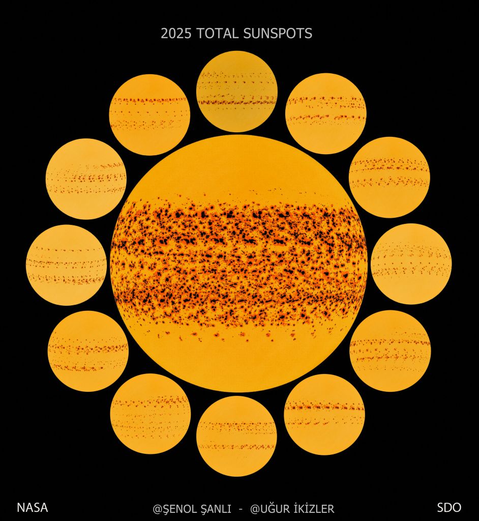 A Year of Sunspots